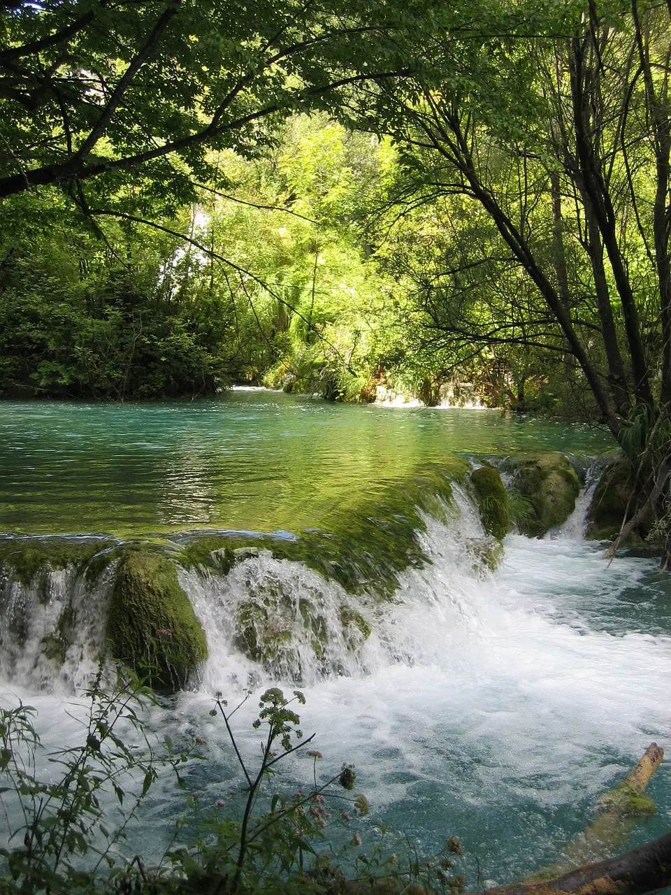 A river with water running over it and trees