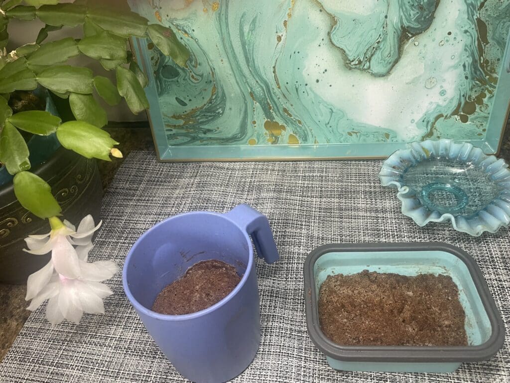 Single serve mug cake in both wheat straw mug and smallest silicone loaf container posing with my mom's Christmas cactus (see below for silicone container set)