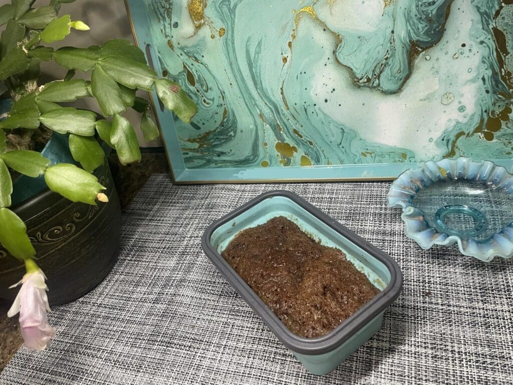 Double serve mug cake in medium sized silicone loaf container posing with my mom's Christmas cactus (see below for silicone set)